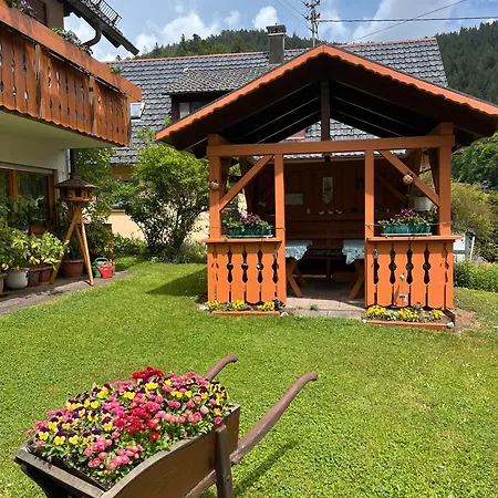 Gaestehaus Schoch-baechle 3*