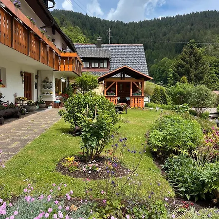 Gaestehaus Schoch-baechle 3* Bad Rippoldsau-Schapbach