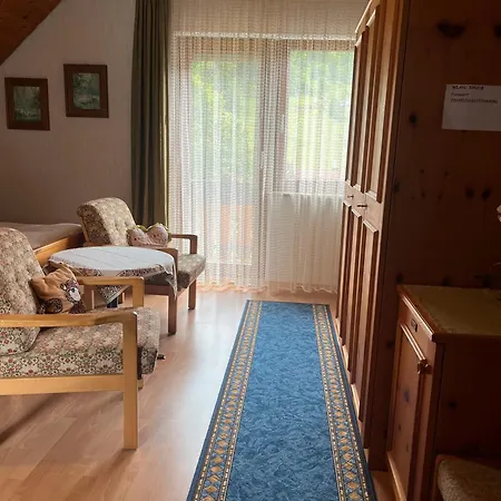 Gæstehus Gaestehaus Schoch-baechle Bad Rippoldsau-Schapbach