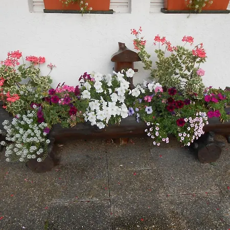 Gaestehaus Schoch-baechle