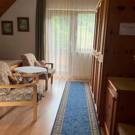 Gaestehaus Schoch-baechle Bad Rippoldsau-Schapbach